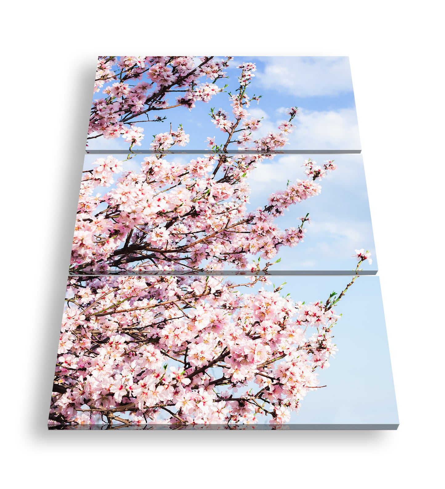 Hauptbild Farbig 3 Teilig