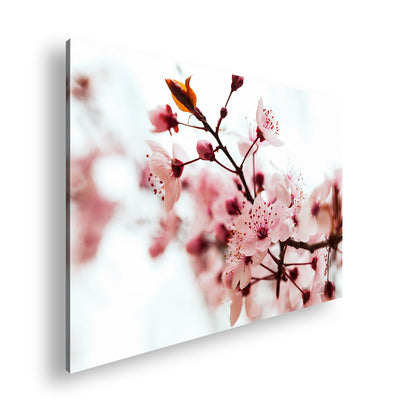 Hauptbild Farbig Standart