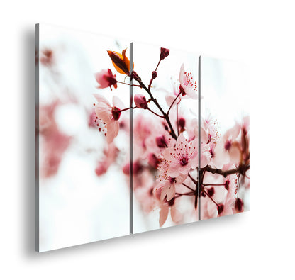 Hauptbild Farbig 3 Teilig