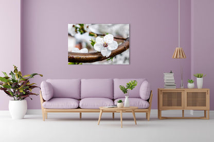 Vorschaubild Wohnzimmerbild 2