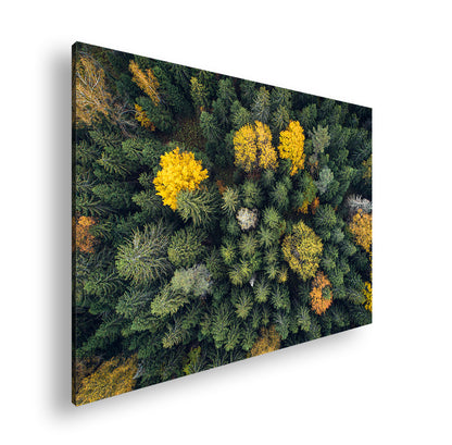 Hauptbild Farbig Standart