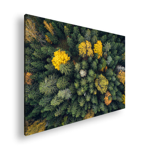 Hauptbild Farbig Standart