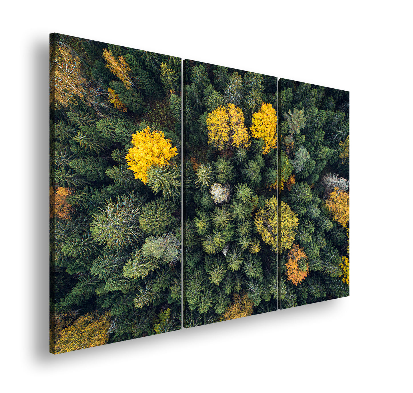 Hauptbild Farbig 3 Teilig