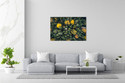 Vorschaubild Wohnzimmerbild 1