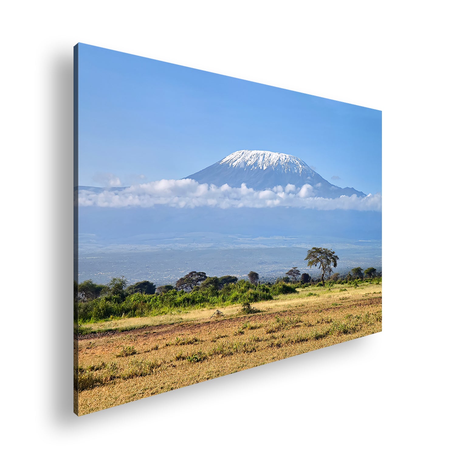 Hauptbild Farbig Standart