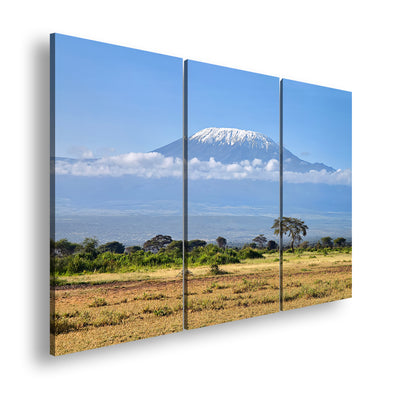 Hauptbild Farbig 3 Teilig