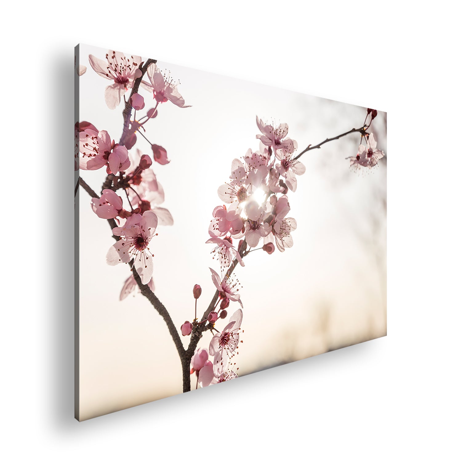 Hauptbild Farbig Standart