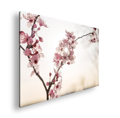 Hauptbild Farbig Standart