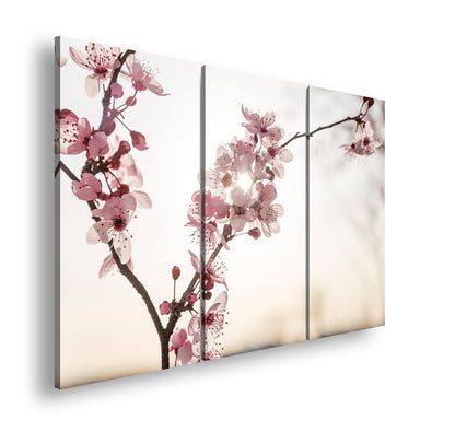 Hauptbild Farbig 3 Teilig