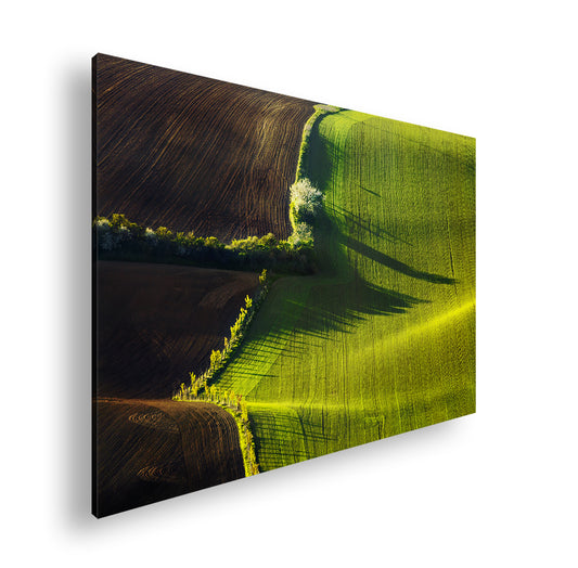 Hauptbild Farbig Standart