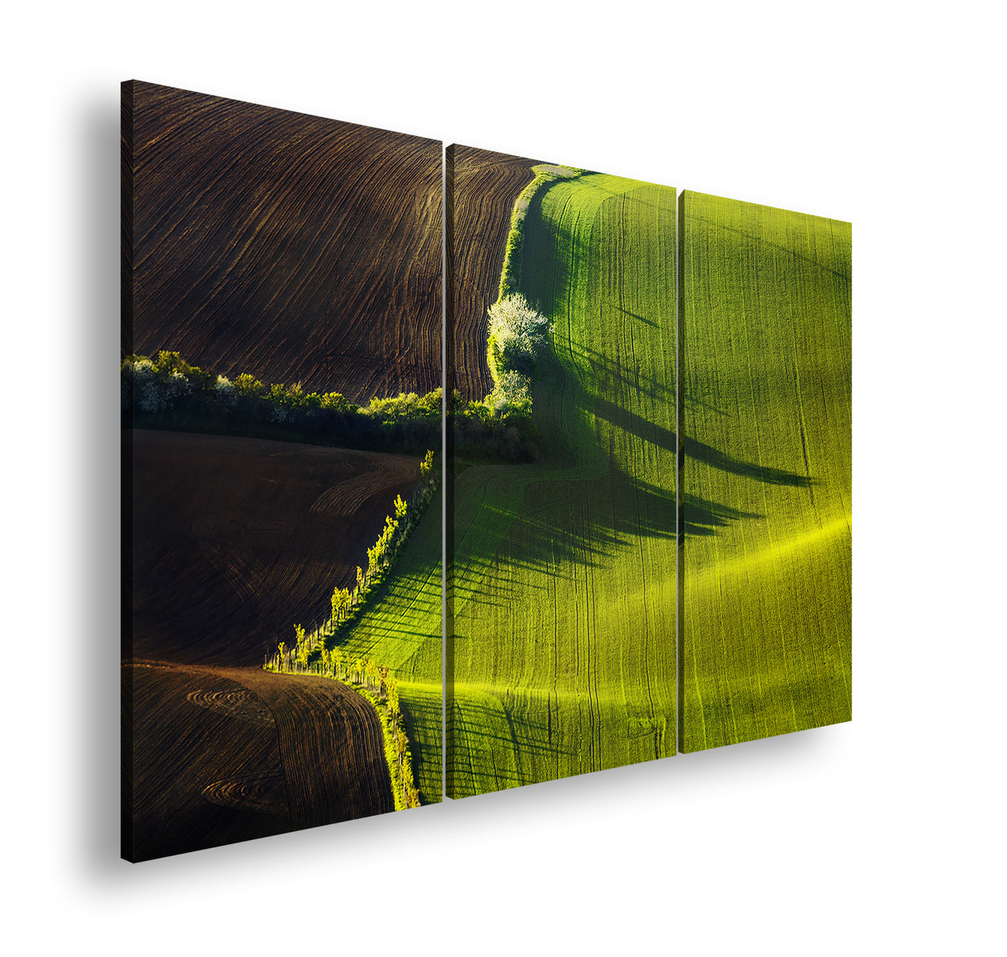 Hauptbild Farbig 3 Teilig