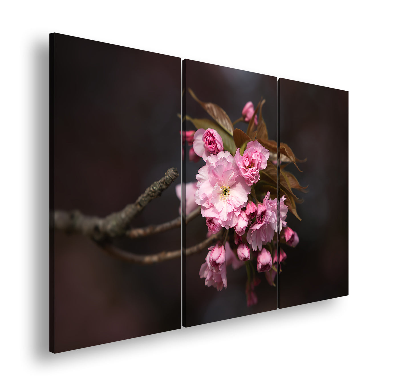 Hauptbild Farbig 3 Teilig