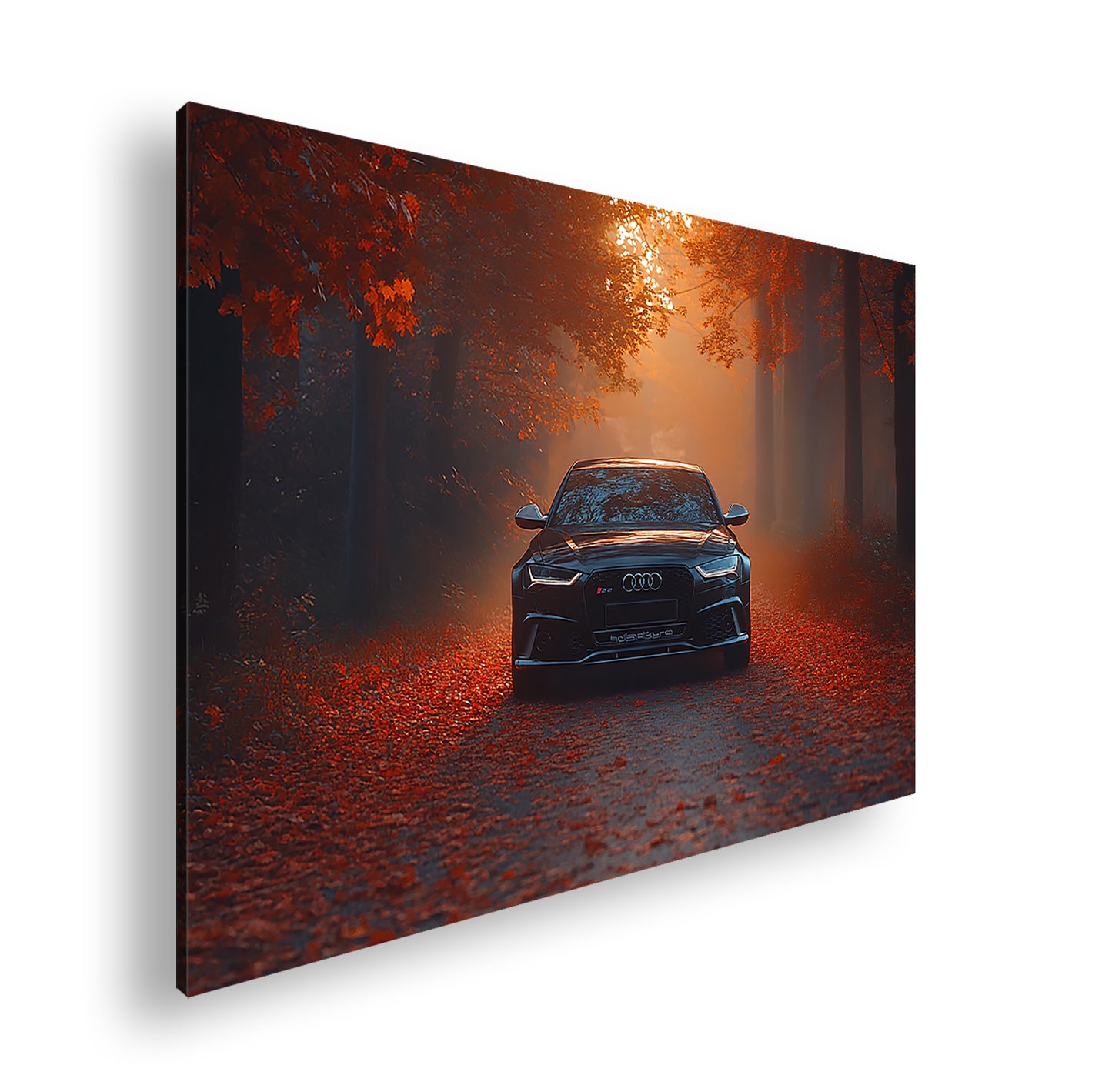 Hauptbild Farbig Standart