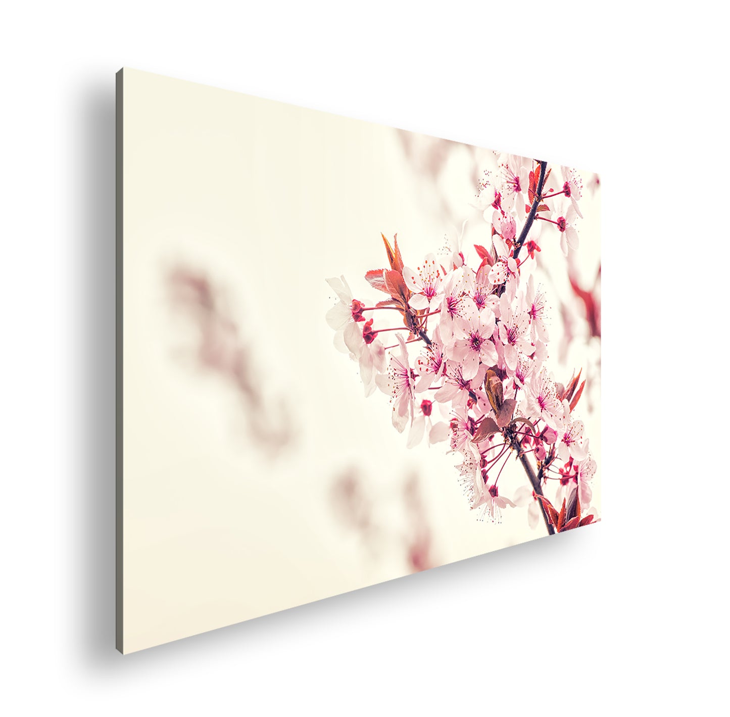 Hauptbild Farbig Standart