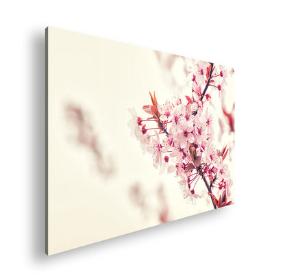 Hauptbild Farbig Standart