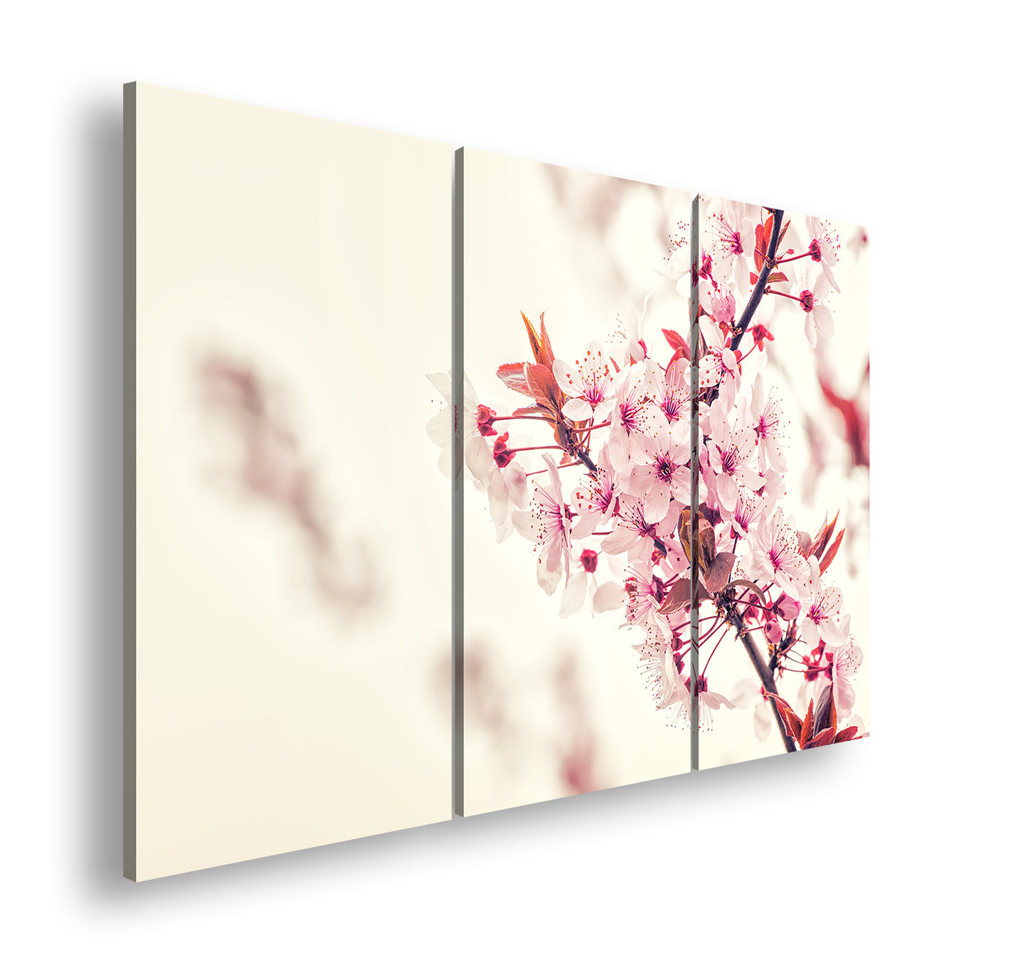 Hauptbild Farbig 3 Teilig