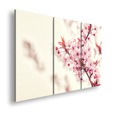 Hauptbild Farbig 3 Teilig