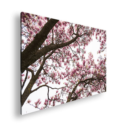 Hauptbild Farbig Standart