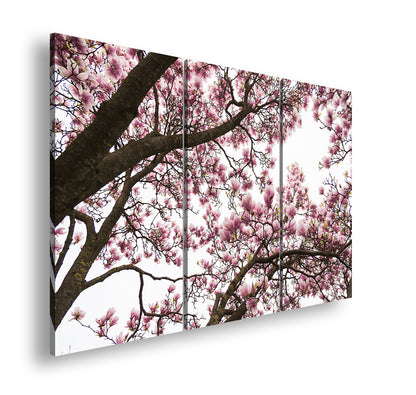 Hauptbild Farbig 3 Teilig