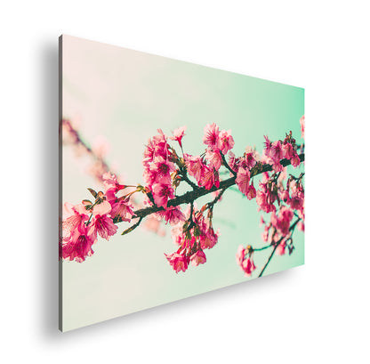 Hauptbild Farbig Standart