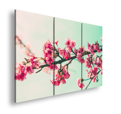 Hauptbild Farbig 3 Teilig