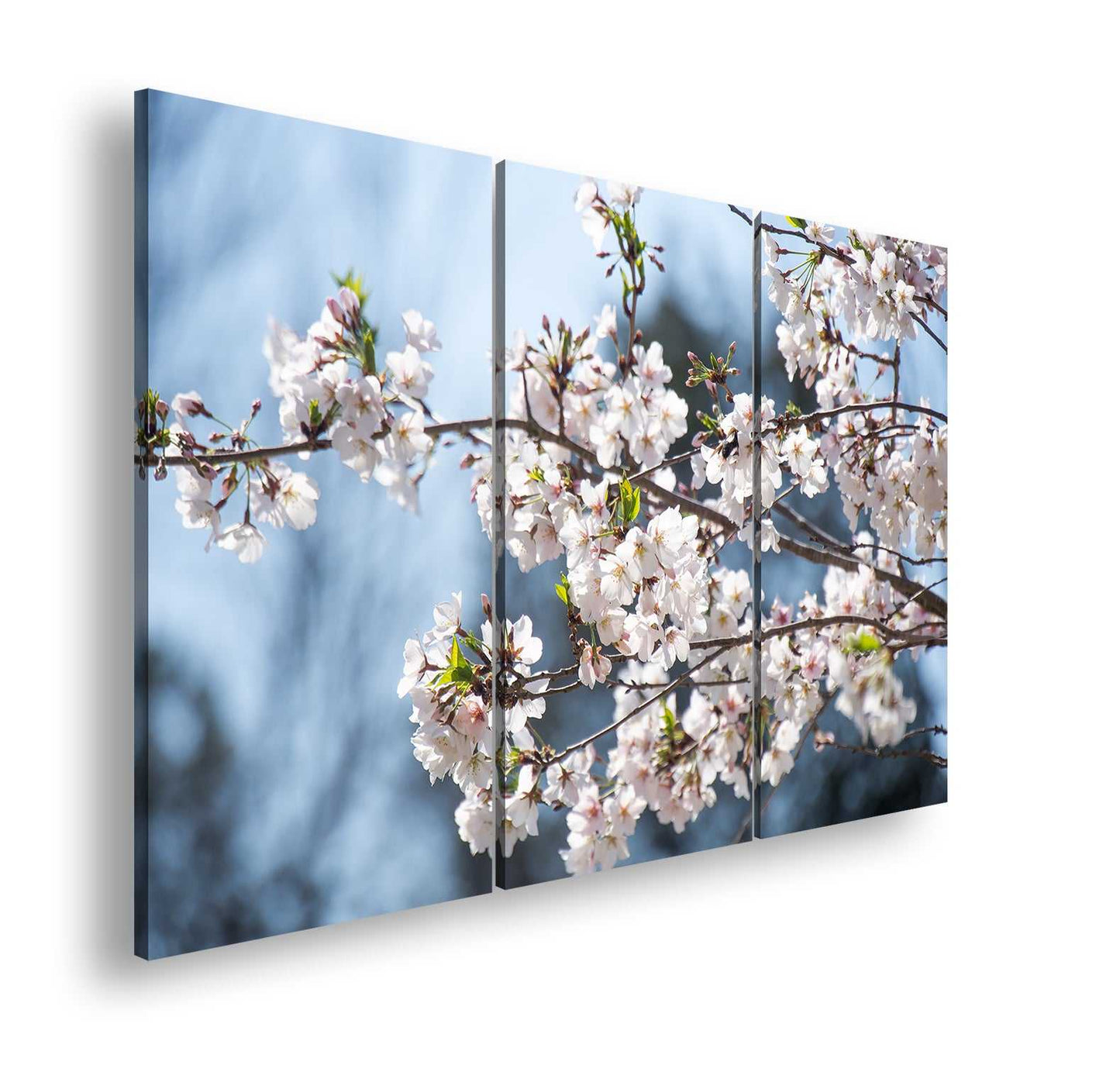 Hauptbild Farbig 3 Teilig