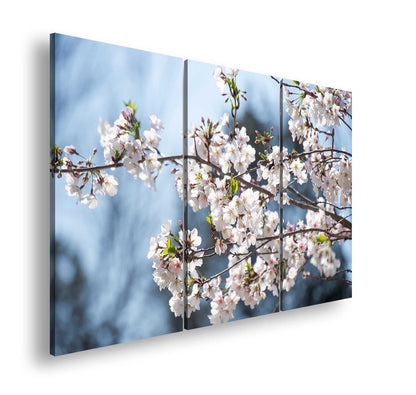 Hauptbild Farbig 3 Teilig