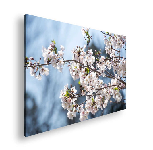 Hauptbild Farbig Standart