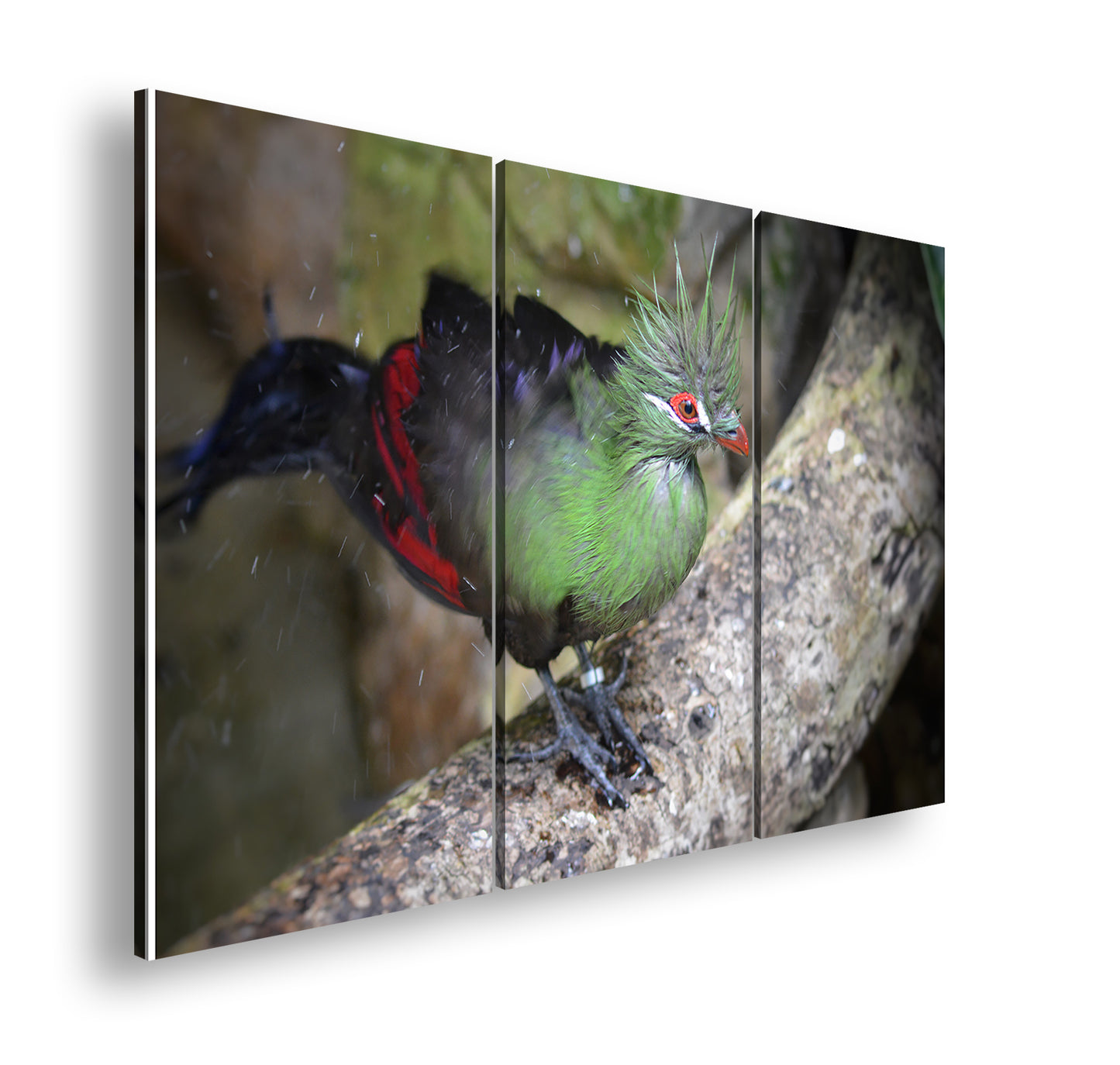 Hauptbild Farbig 3 Teilig