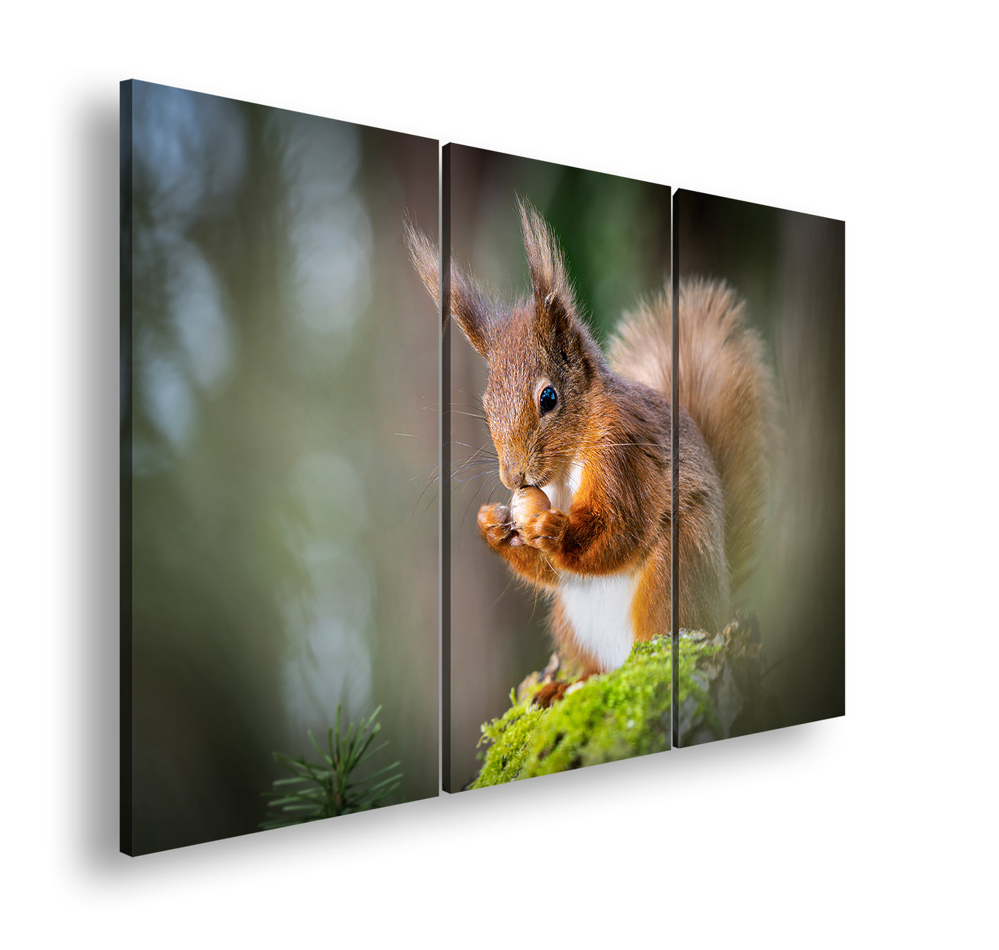 Hauptbild Farbig 3 Teilig