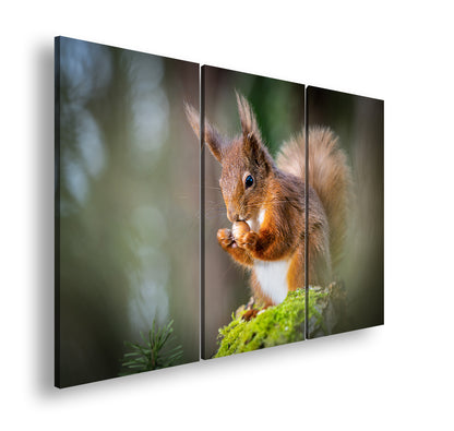 Hauptbild Farbig 3 Teilig