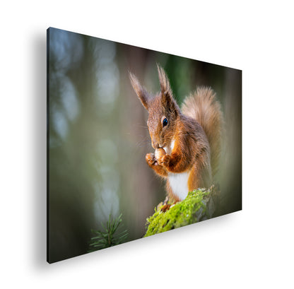 Hauptbild Farbig Standart