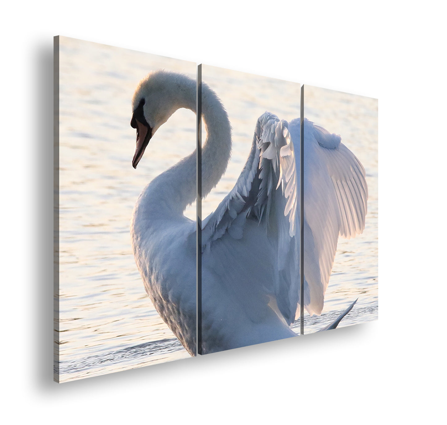 Hauptbild Farbig 3 Teilig