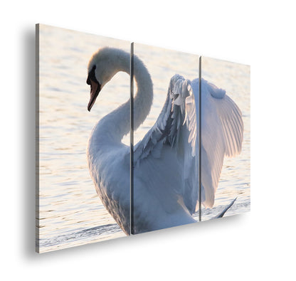 Hauptbild Farbig 3 Teilig