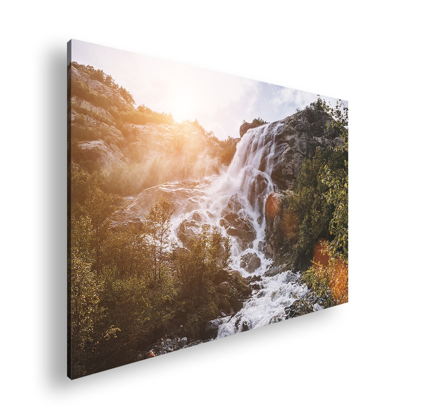 Hauptbild Farbig Standart