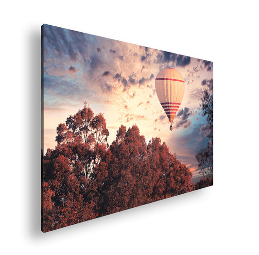 Hauptbild Farbig Standart