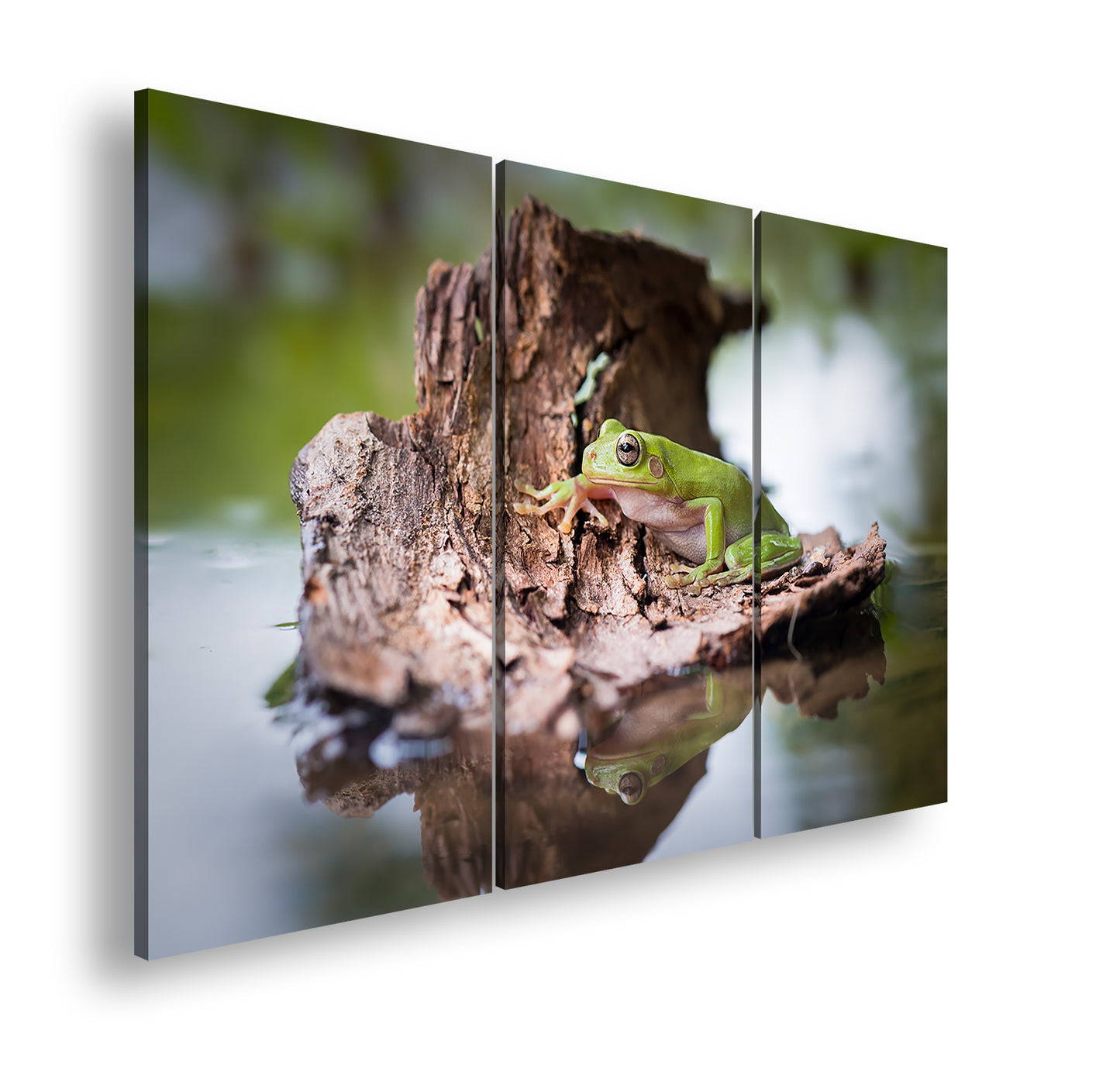 Hauptbild Farbig 3 Teilig