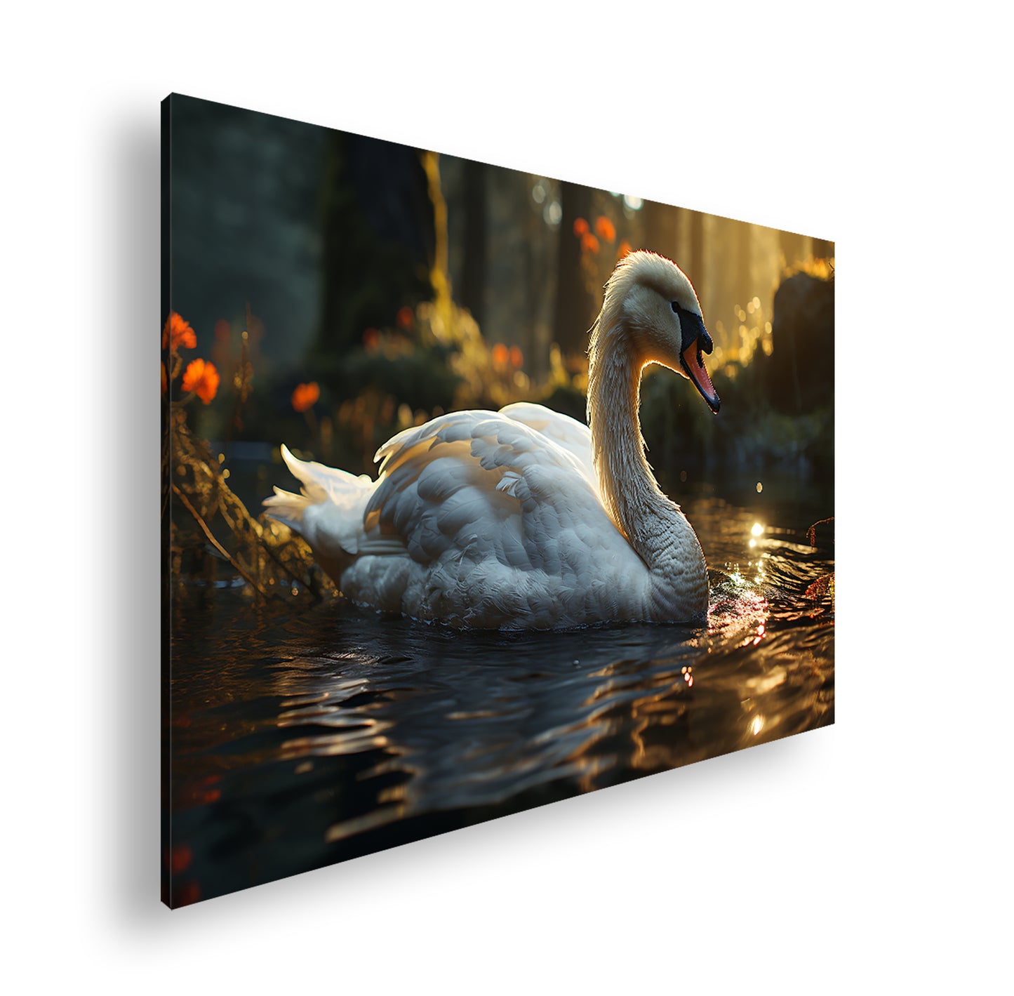 Hauptbild Farbig Standart