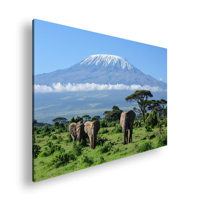 Hauptbild Farbig Standart