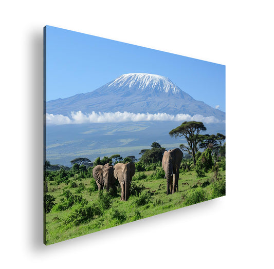 Hauptbild Farbig Standart