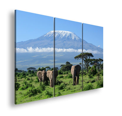 Hauptbild Farbig 3 Teilig