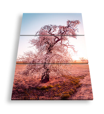 Hauptbild Farbig 3 Teilig