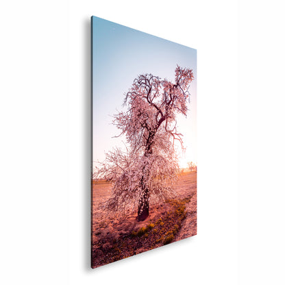 Hauptbild Farbig Standart