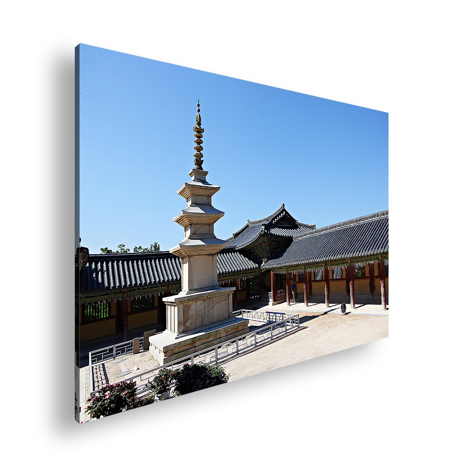 Hauptbild Farbig Standart