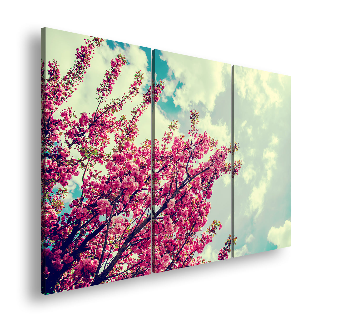 Hauptbild Farbig 3 Teilig