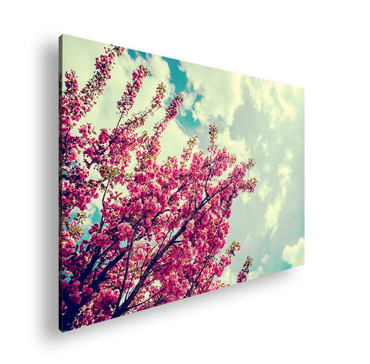 Hauptbild Farbig Standart