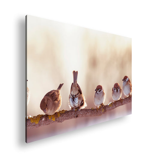 Hauptbild Farbig Standart