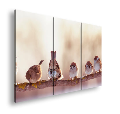 Hauptbild Farbig 3 Teilig