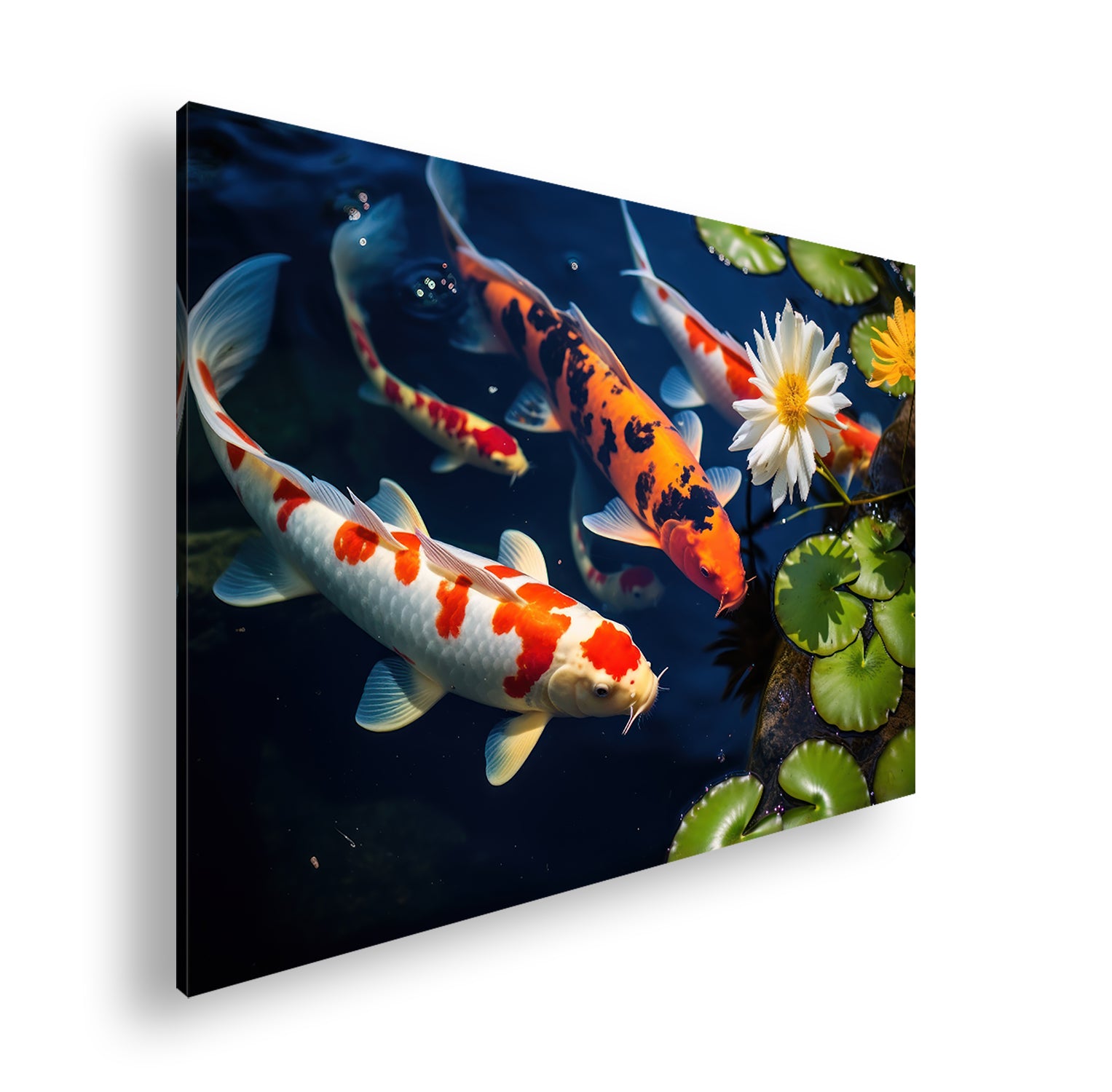 Hauptbild Farbig Standart