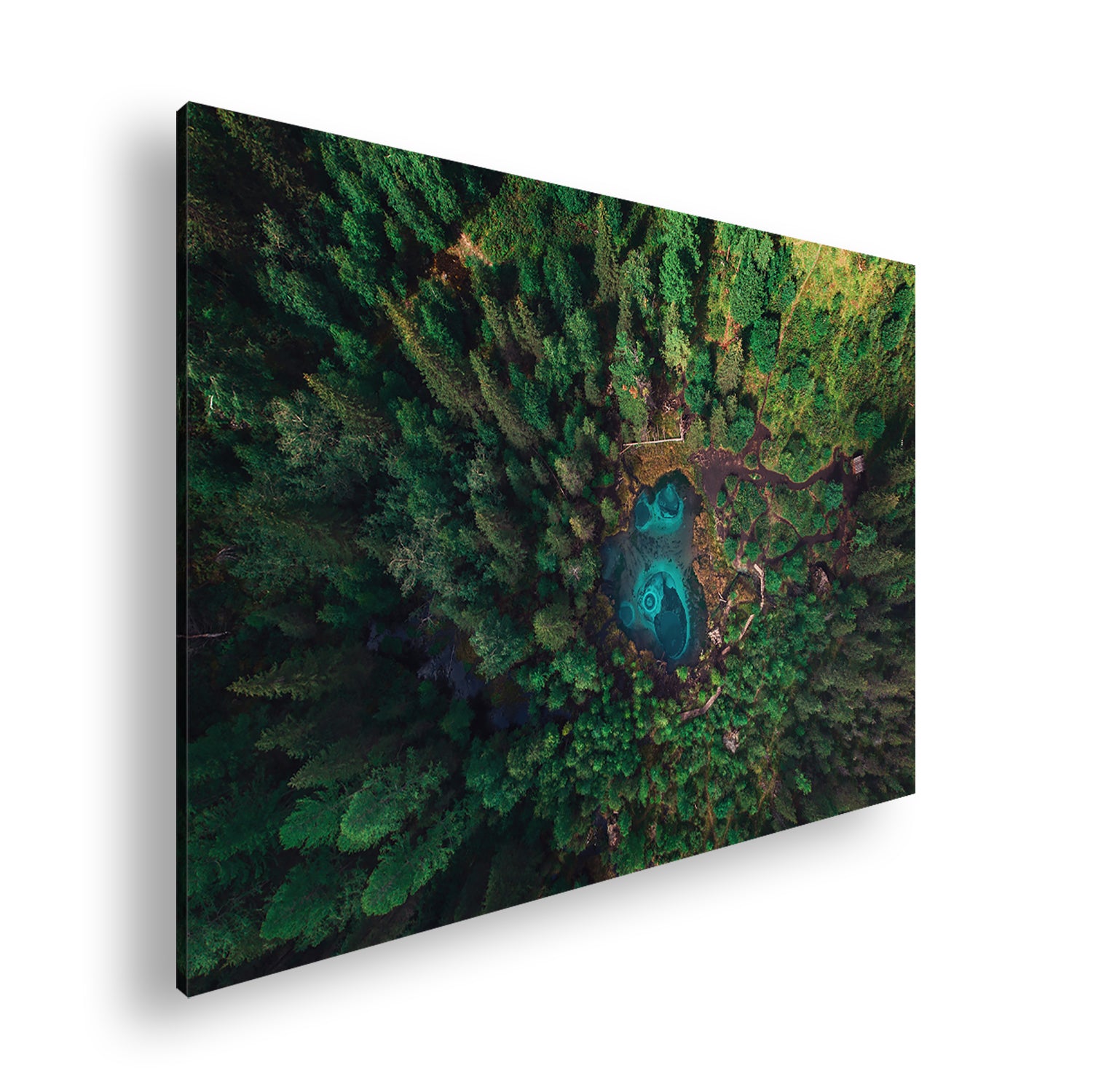 Hauptbild Farbig Standart